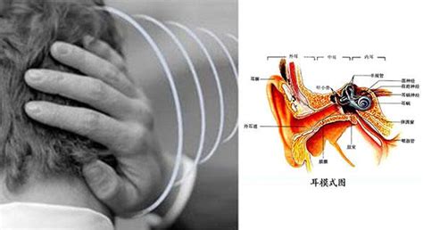 持續耳鳴怎麼辦|耳朵嗡嗡叫，持續耳鳴怎麼辦？一文看懂「耳鳴」的8原因、2大種。